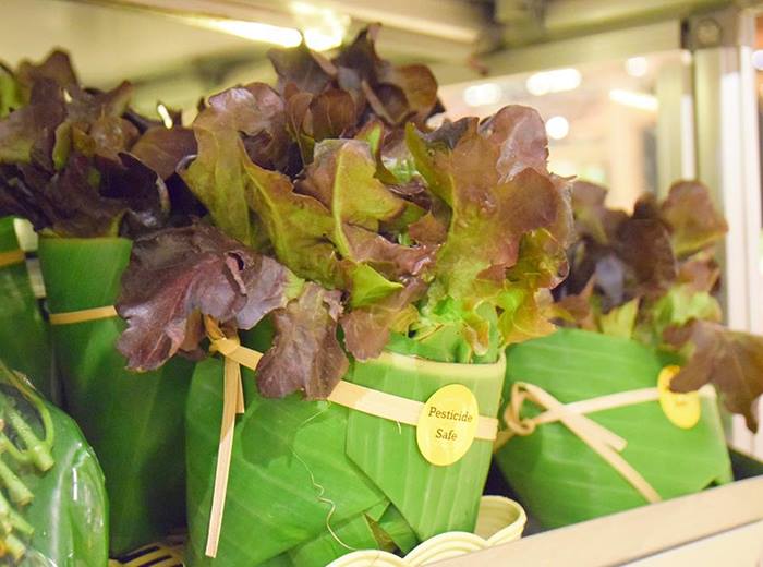 Les supermarchés asiatiques reviennent à utiliser des feuilles comme emballage à la place du plastique 4