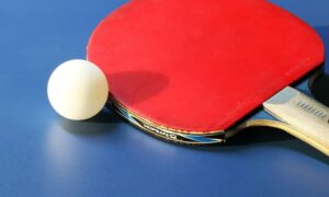 comparatif Raquette de ping pong