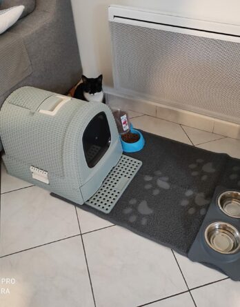 Maison de Toilette pour Chat